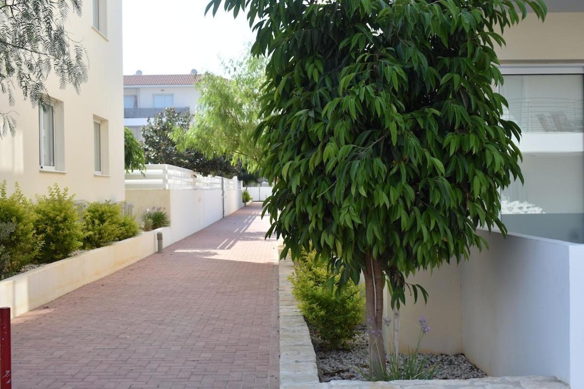 Saltos - Mythical Sands - Paralimni, Cyprus *